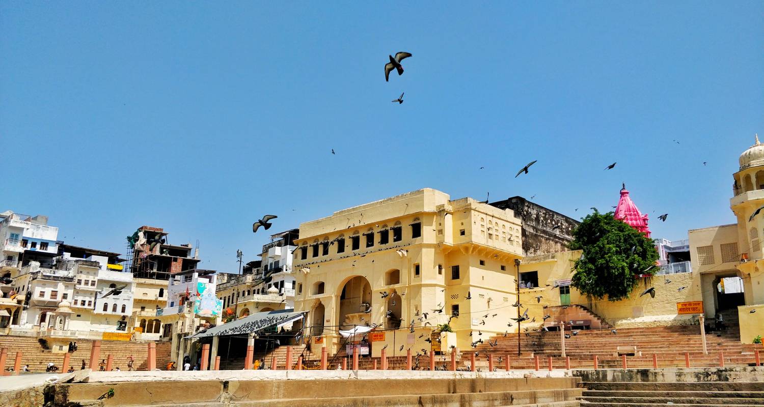 Taj, Tiger and Royal Stay - Trugo Luxury Travels