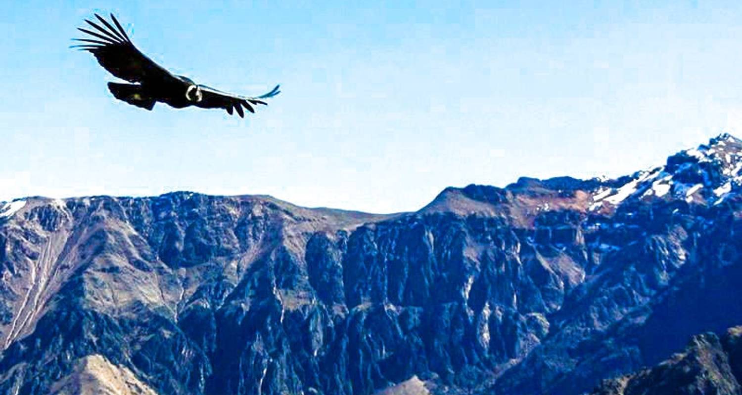 Arequipa - Colca - Puno - Turismoi