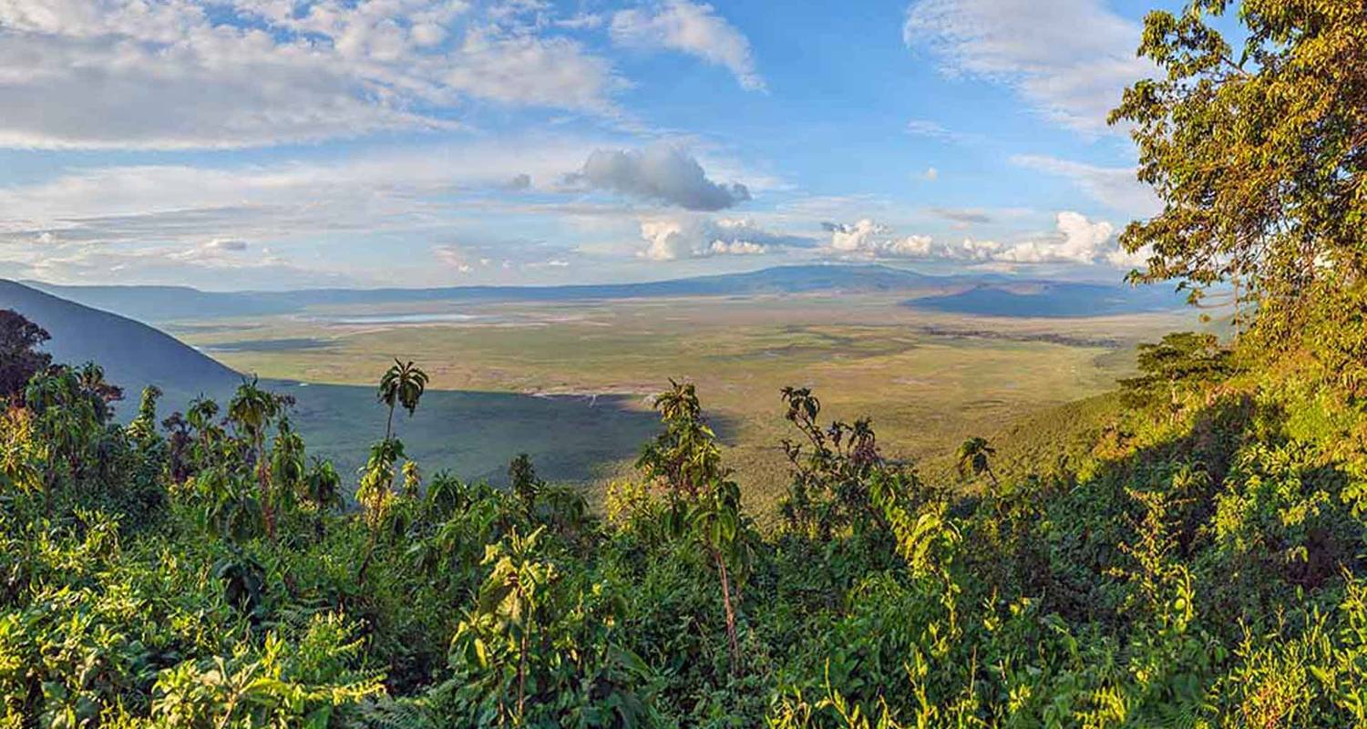 SIMBA TOUR - Samora Explorers Ltd