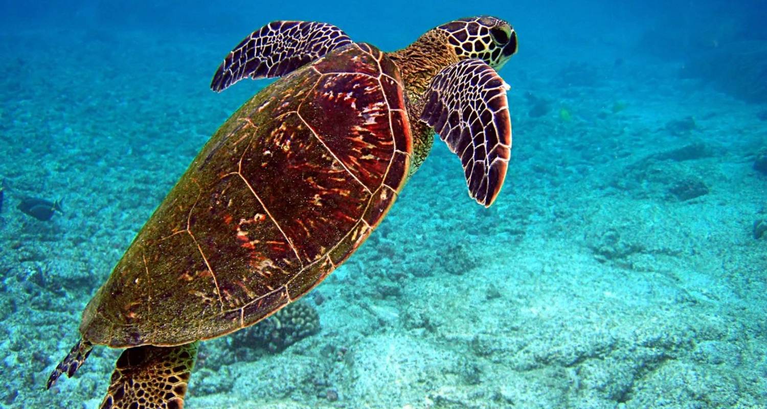 Secret Escape - Costa Rica Best Destination