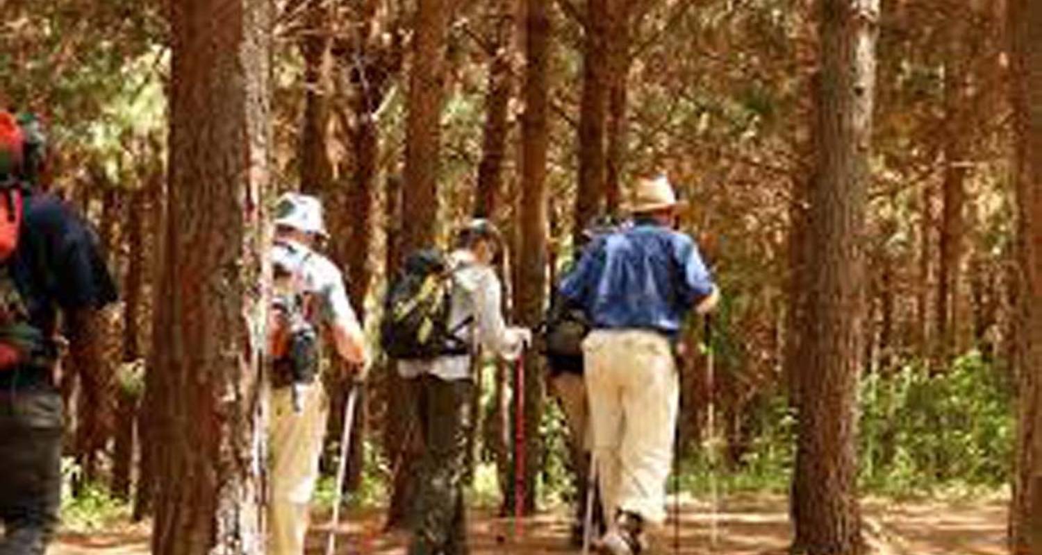 7 Days Mount Kilimanjaro Machame Route - Serengeti Wakanda Tours and Safaris