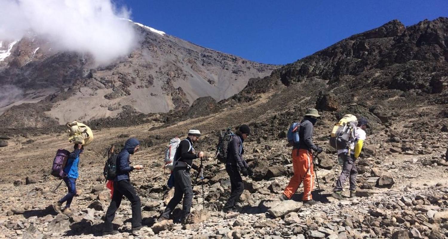 Kilimanjaro Climb Lemosho Route - Golden Summit Tour and Safari