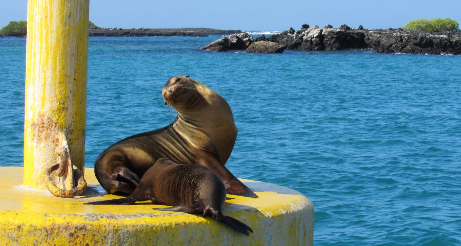 Galapagos an enchanted Archipielago - Cami Adventures