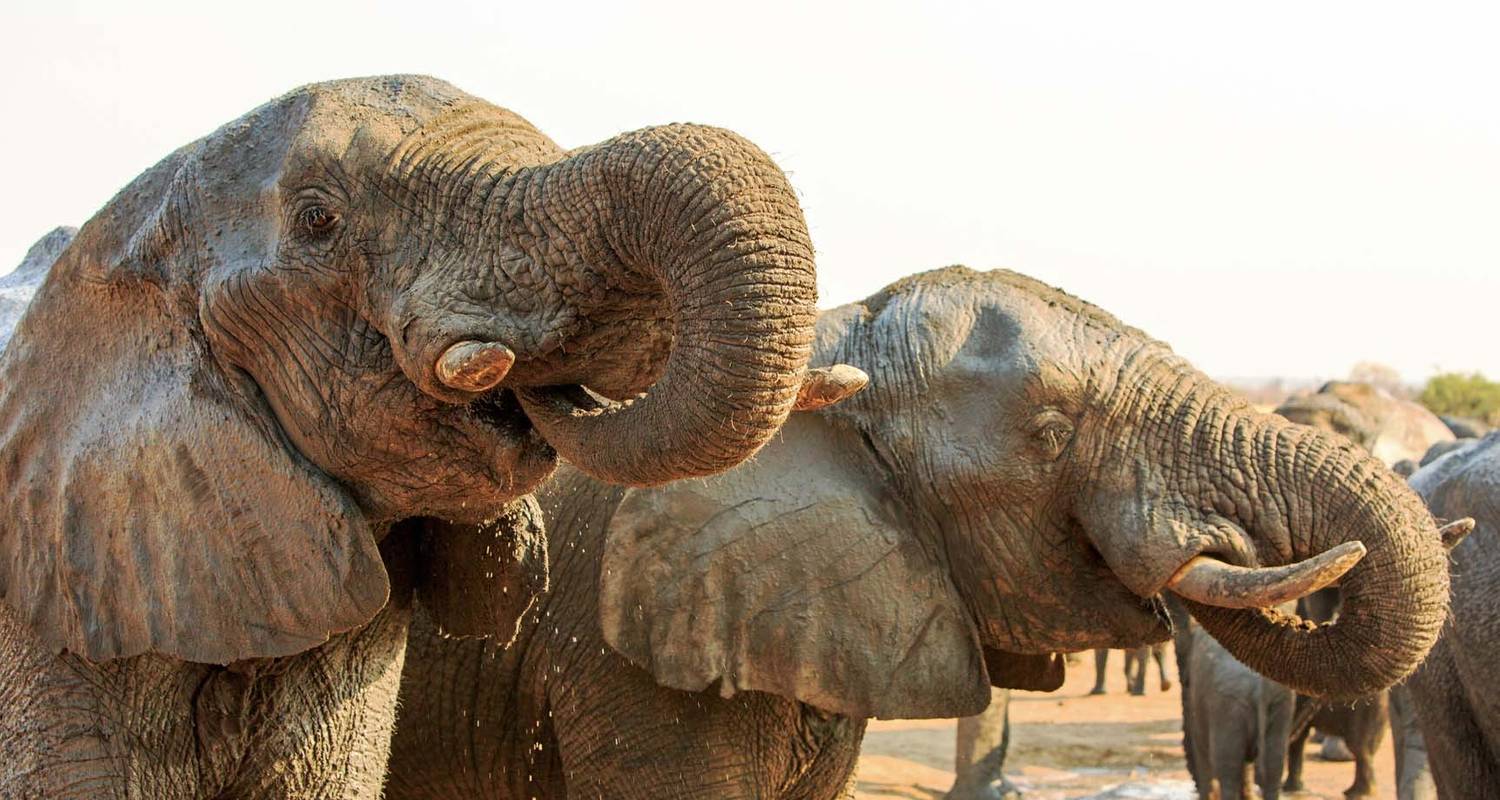 20 Days Namibia, Botswana and Victoria Falls Accommodated Adventure - Africa4Us