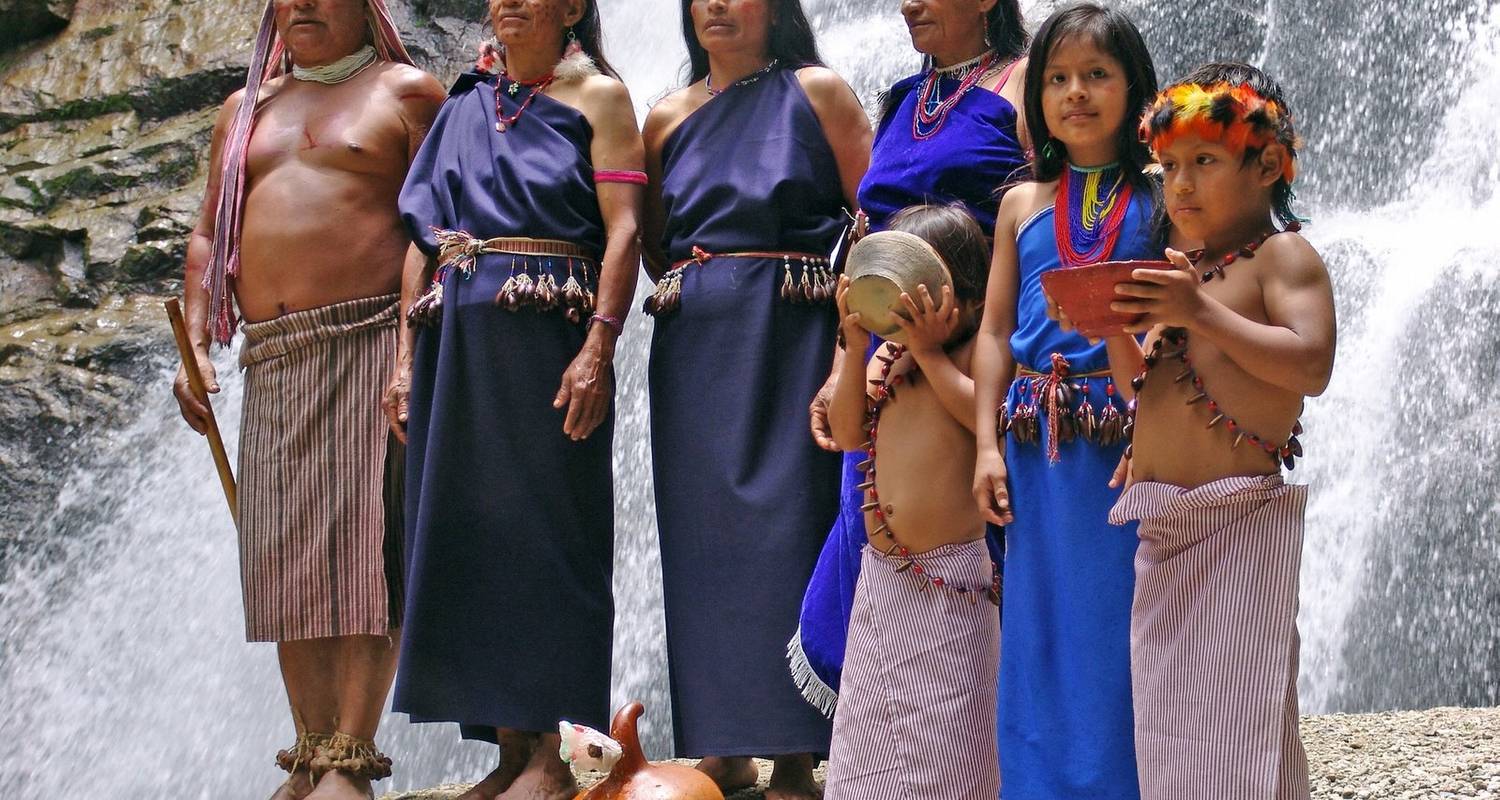 Tour Amazon Yasuni 4D - 3N - BM Tours