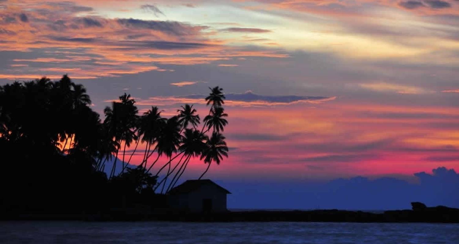 Circuit privé de luxe au Sri Lanka 2024 - Sri Holidays