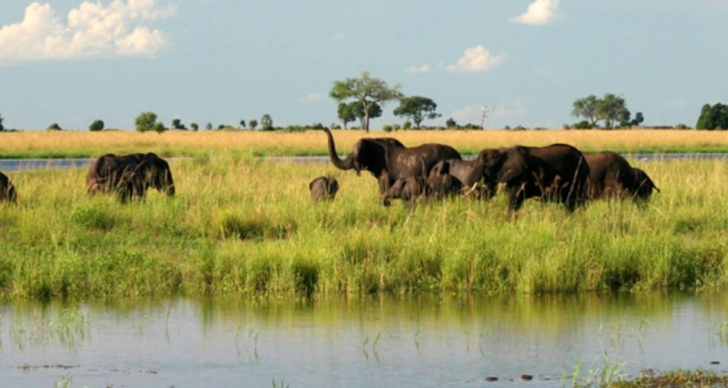 Klassisches Botswana - 8 Tage - Peregrine Adventures