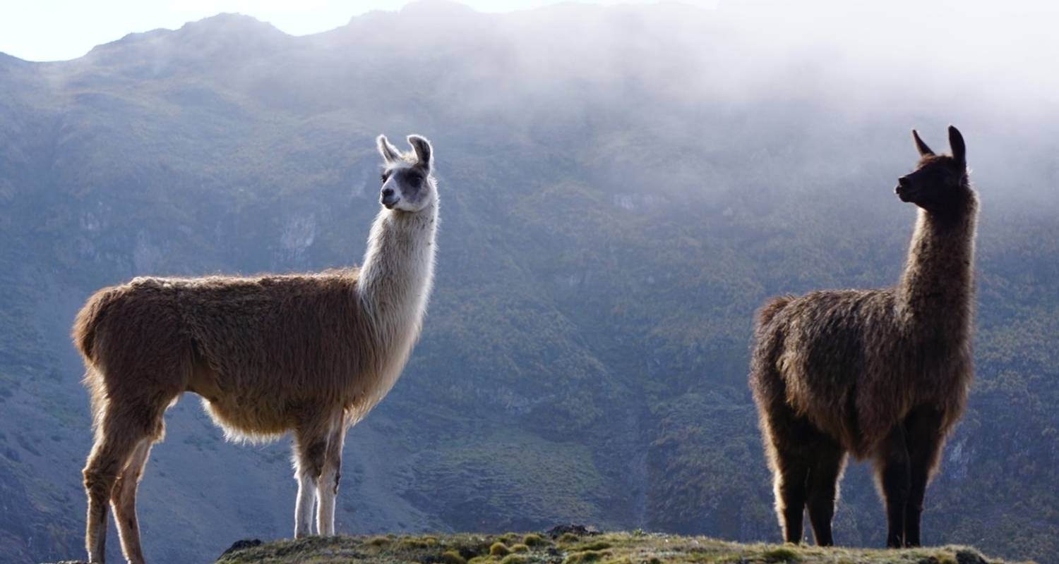 Ultimate Peru Adventure - Active Adventures