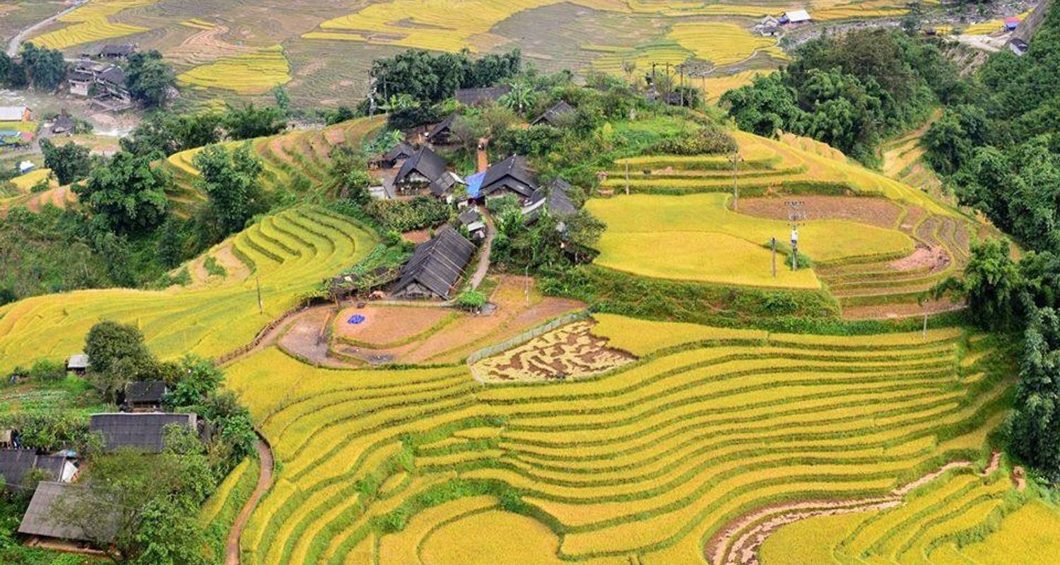 Hanoi, Berg Fansipan, Sapa & Halong Bay - 7 Tage - Little Orchid Travel