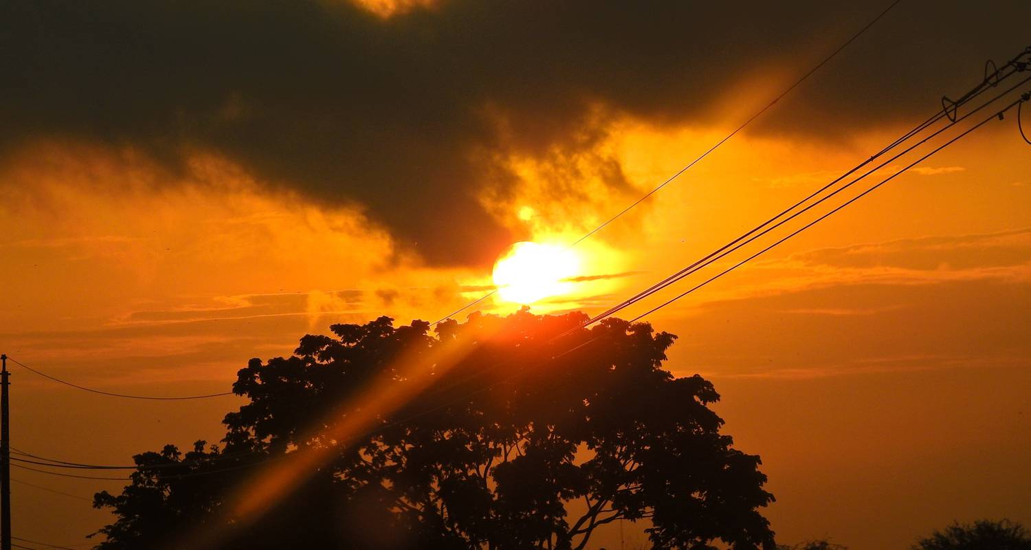 15 Days in Southern Ecuador - Diverse Adventure - Guayaquil - A Guided Visit
