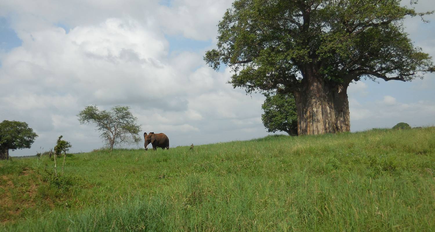 4 Tage Rift Valley Wildlife Safari - Kleine Gruppe - Adventure Makers Tanzania
