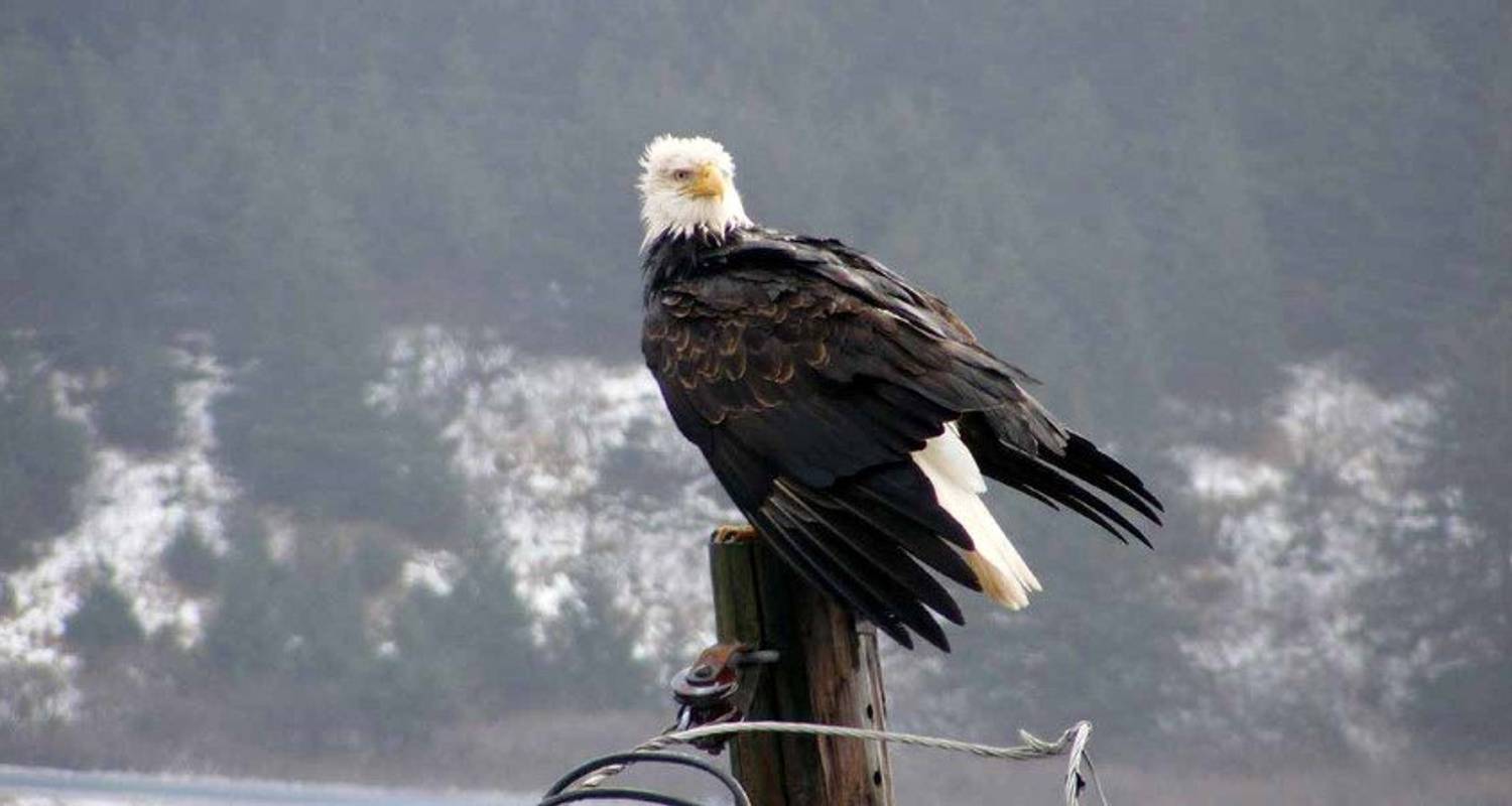 Alaska and British Columbia - Epic Wilderness Expedition (Itinerary 2) - Hurtigruten