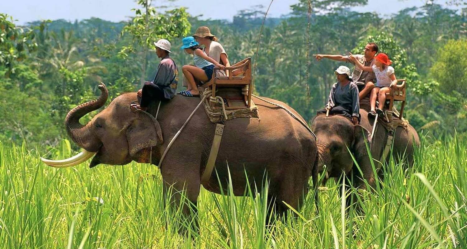 Exclusive Tour of Wildlife in India - Trip India Hotels and Holidays