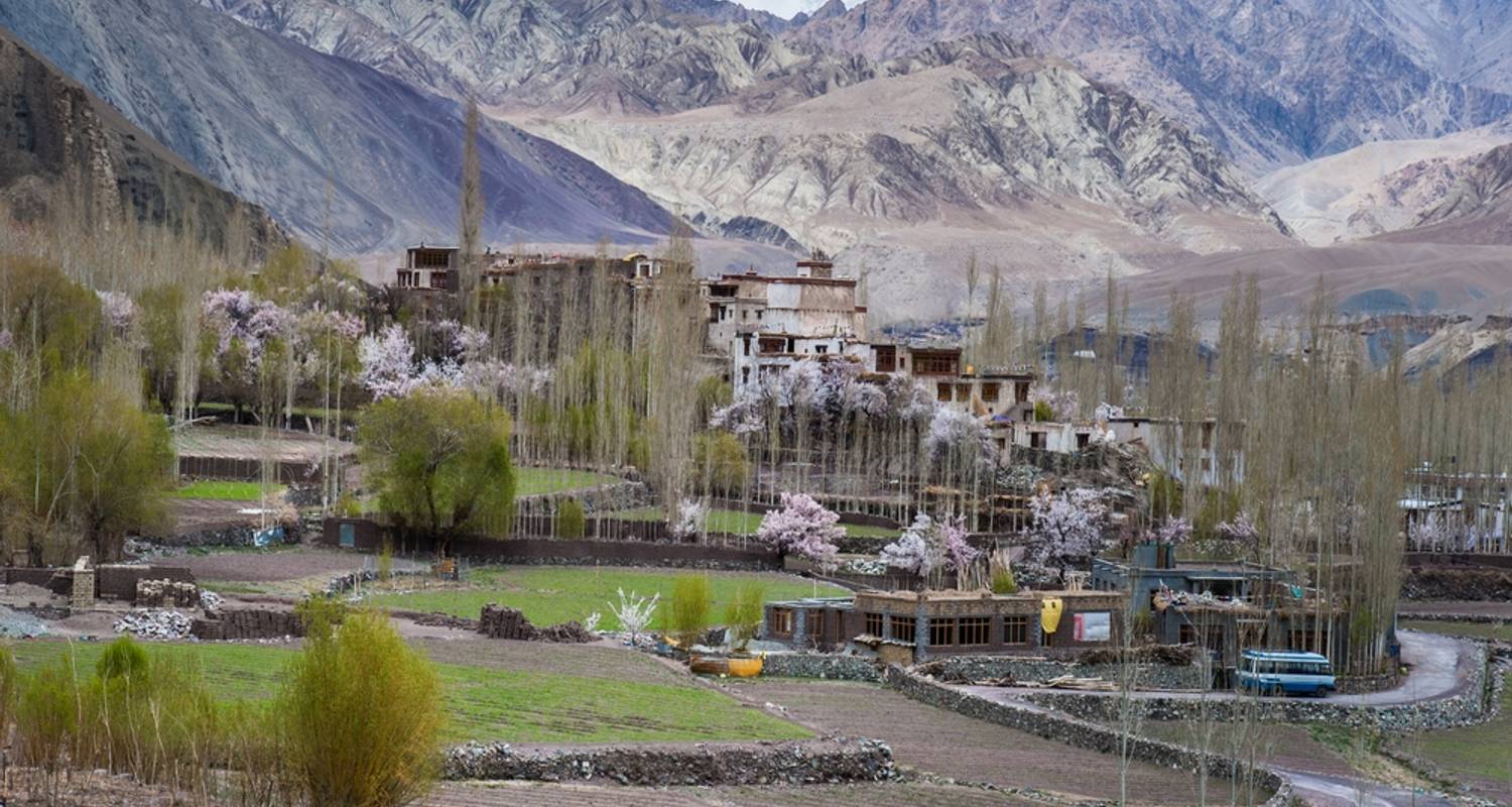 Thunder Himalayas - Trip India Hotels and Holidays