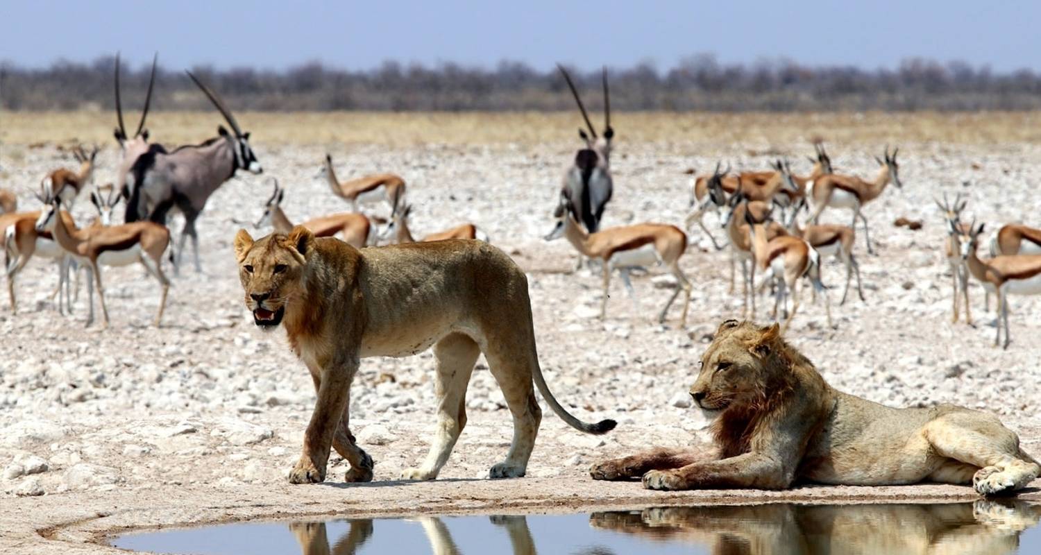 Volledig begeleid Rondreizen in Namibië