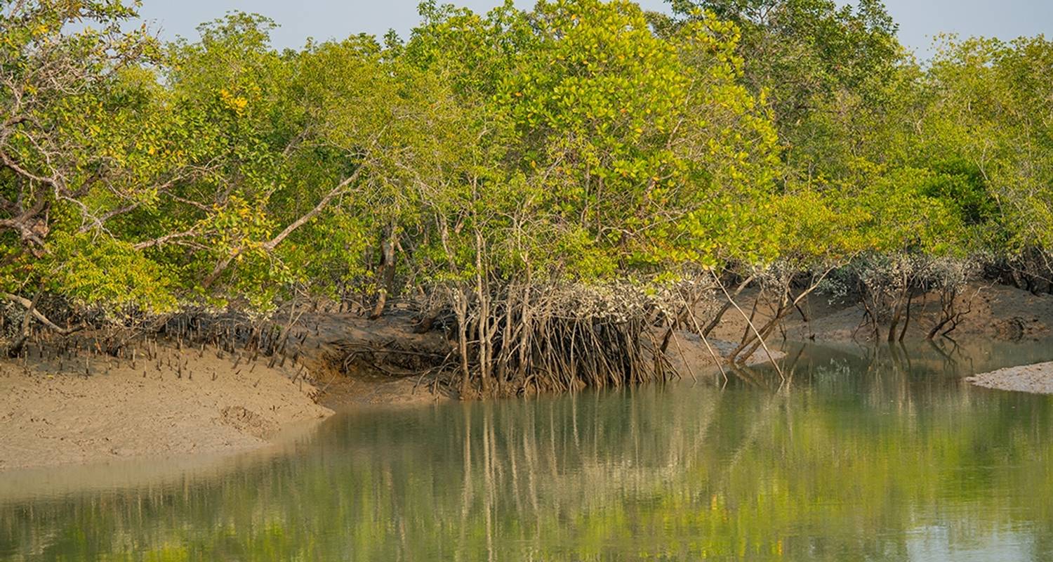 India Expedition: Wilderness & Wildlife - Intrepid Travel