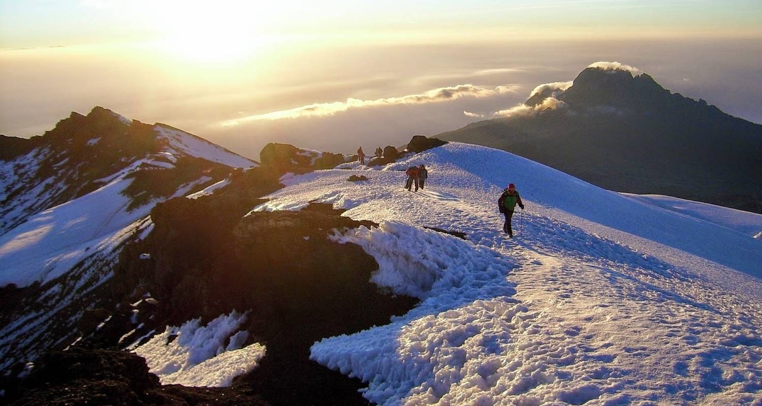 Kilimandscharo 7 Tage Machame Route - Adventure Makers Tanzania
