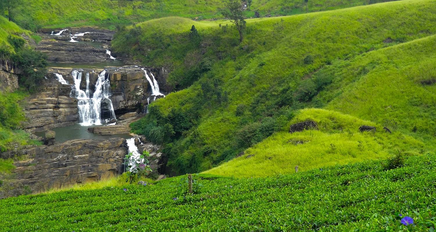 Golf Tour of Sri Lanka - Tour Blue
