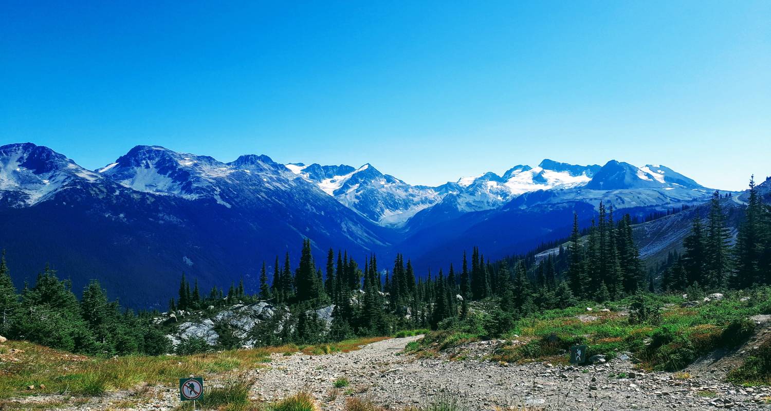 Big West - Moose Western Canada