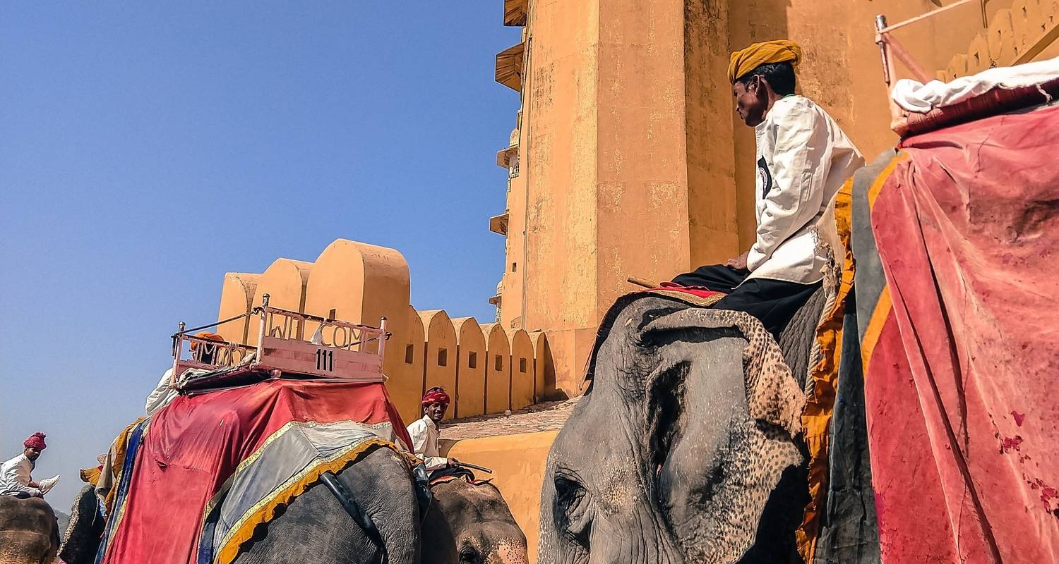 De woestijn van India - 8 dagen - Chauffeurs In India