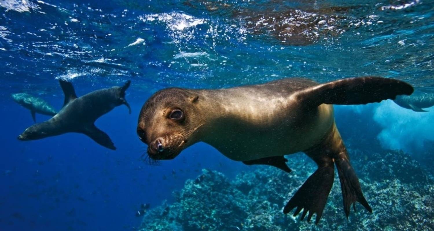 Galapagos Under Budget - Guayaquil - A Guided Visit