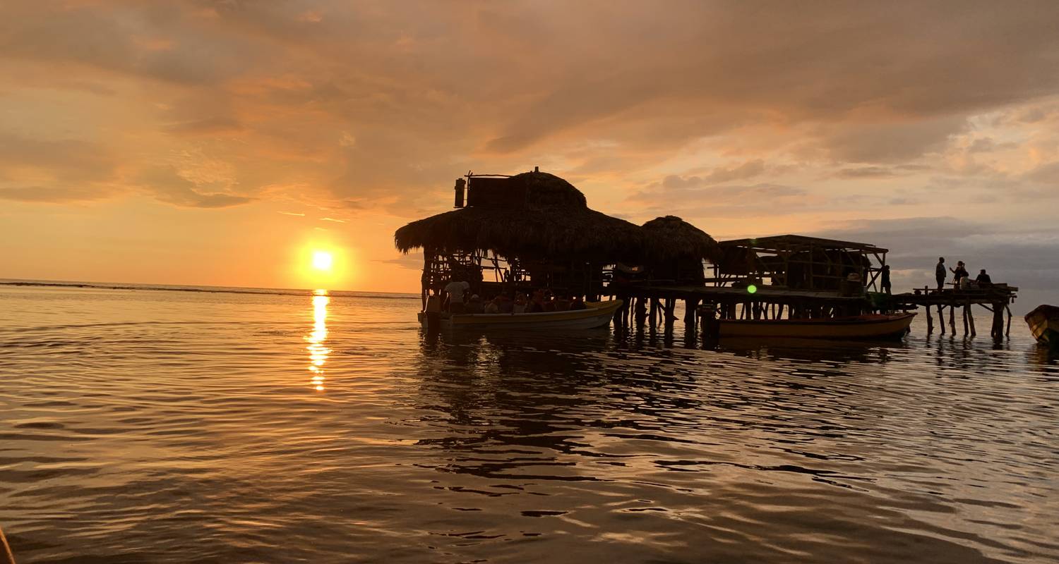 Jamaica Discovery Tour – 7 Days - Jamaica Discovery Tours & Vacations