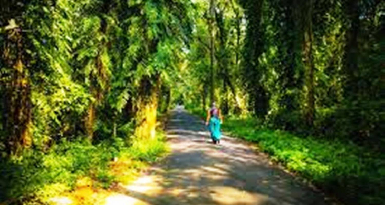 Best wild life safari package south India tour - aci holidays