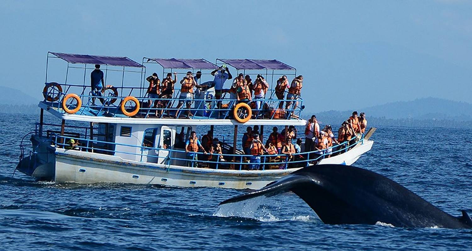 Iconic Sri Lanka - Apple Vacations Pvt Ltd