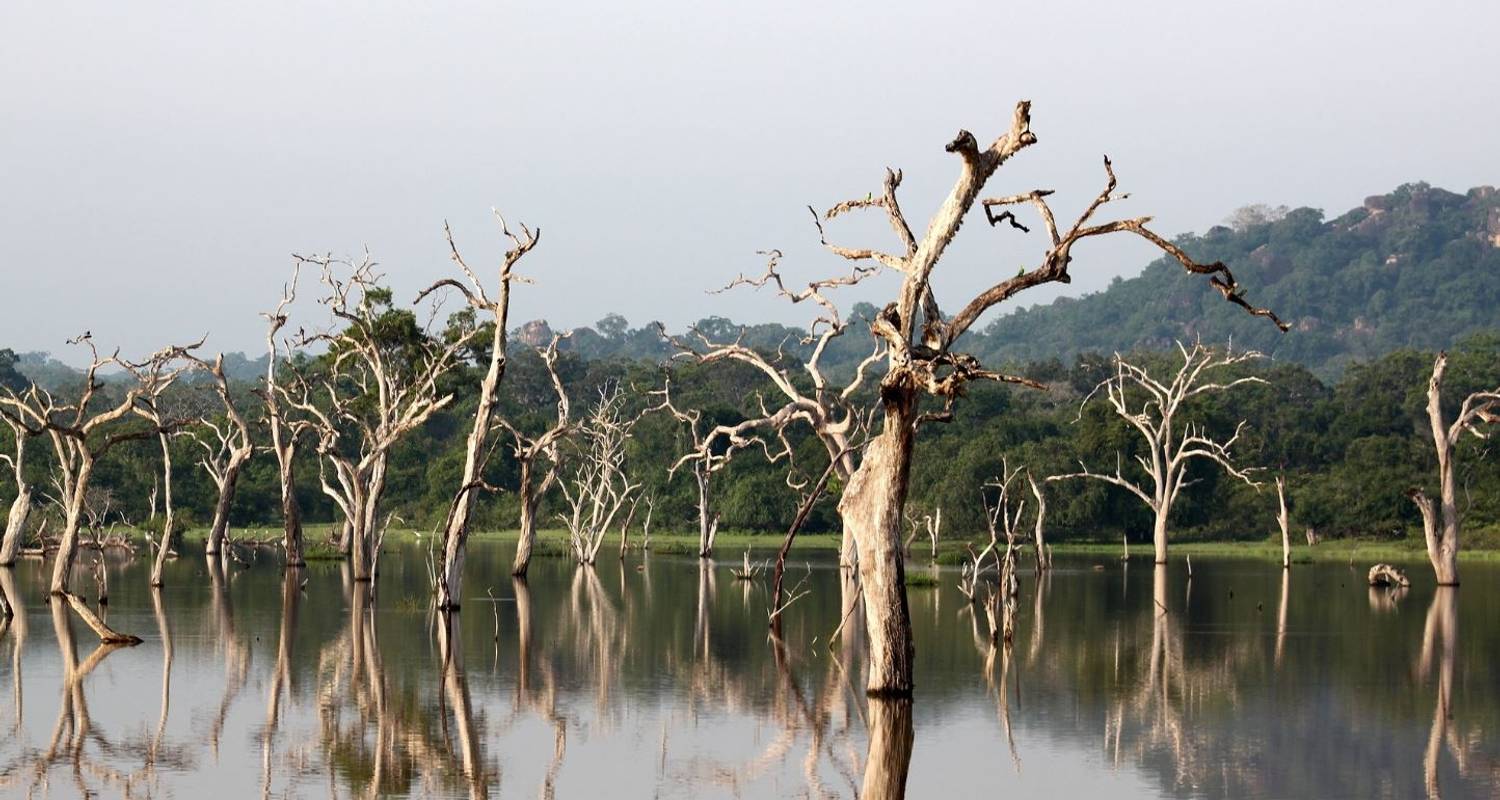 Classic Spots of Srilanka - Apple Vacations Pvt Ltd