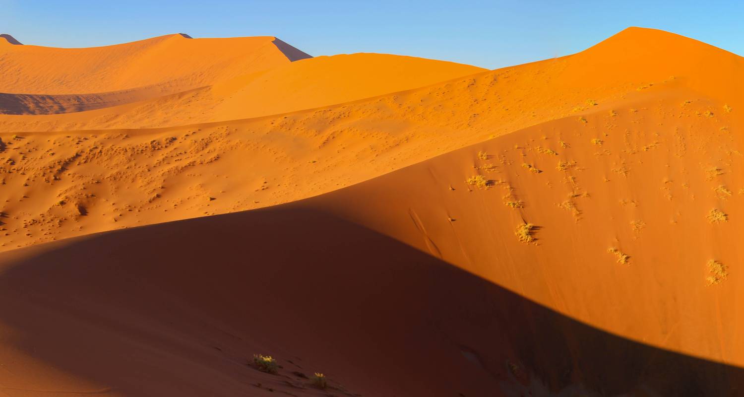 6 Days Namib Desert & Etosha Accommodated Safari - Bluecrane Safaris Namibia