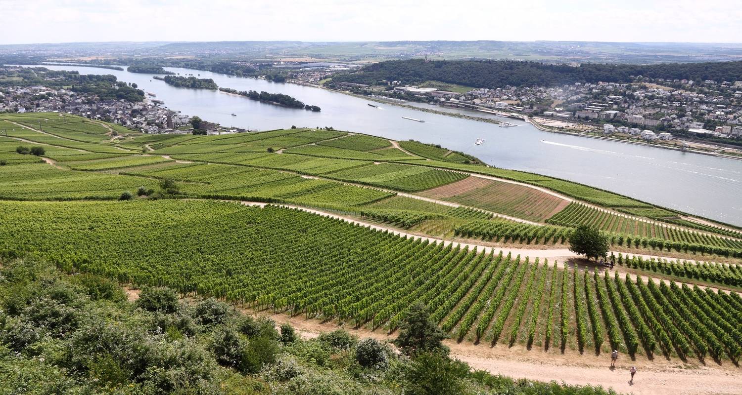 Captivating Rhine 2021 Start Amsterdam, End Basel - AmaWaterways