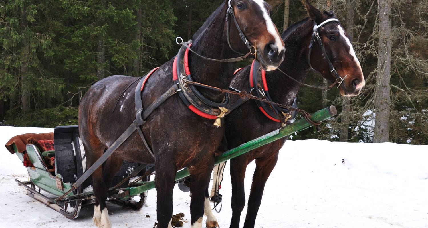 Krakau und Zakopane im Winter (Tatragebirge) - 5 Tage - Poland Active