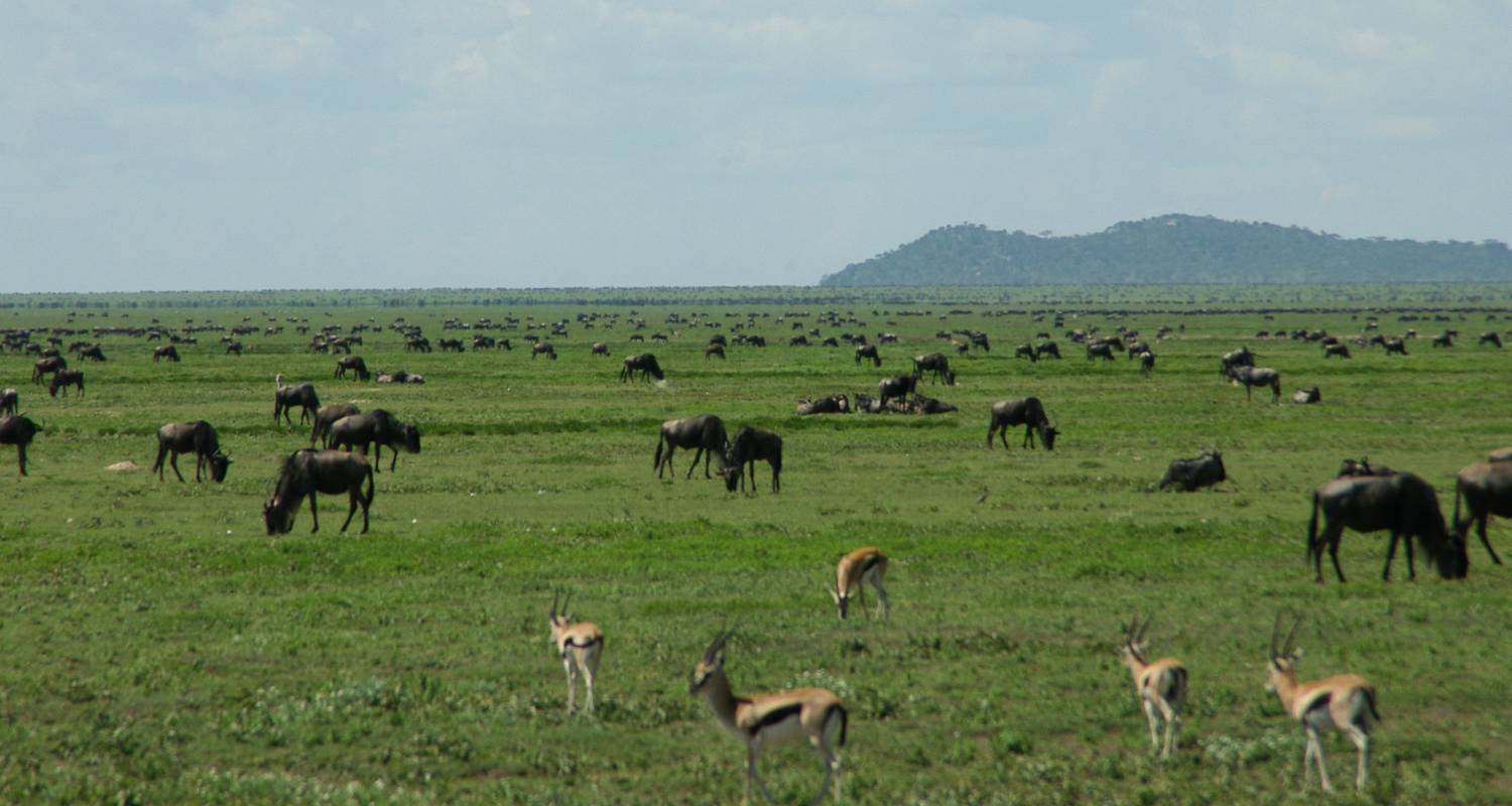 6 Day Luxury off the Beaten Path Safaris - Africa Joy Tours