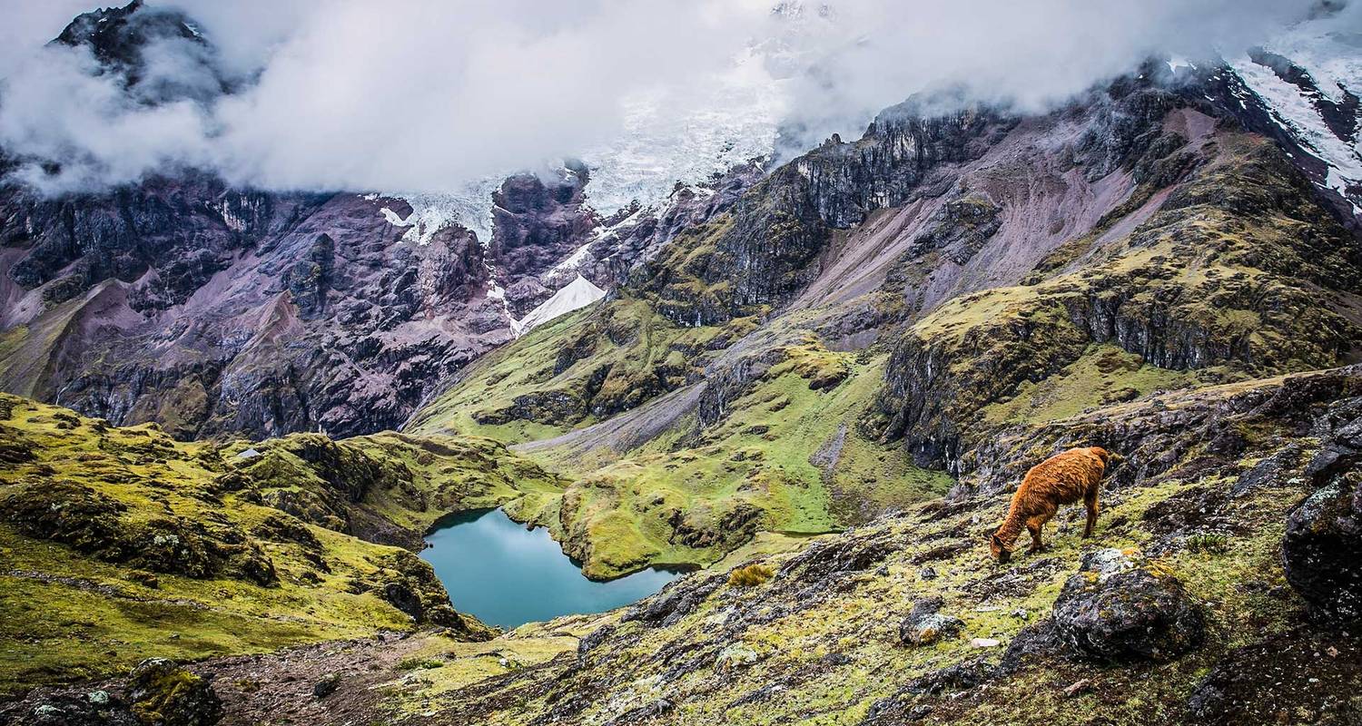 Lares Trek + Short Inca Trail 5 Days - Andean Path Travel