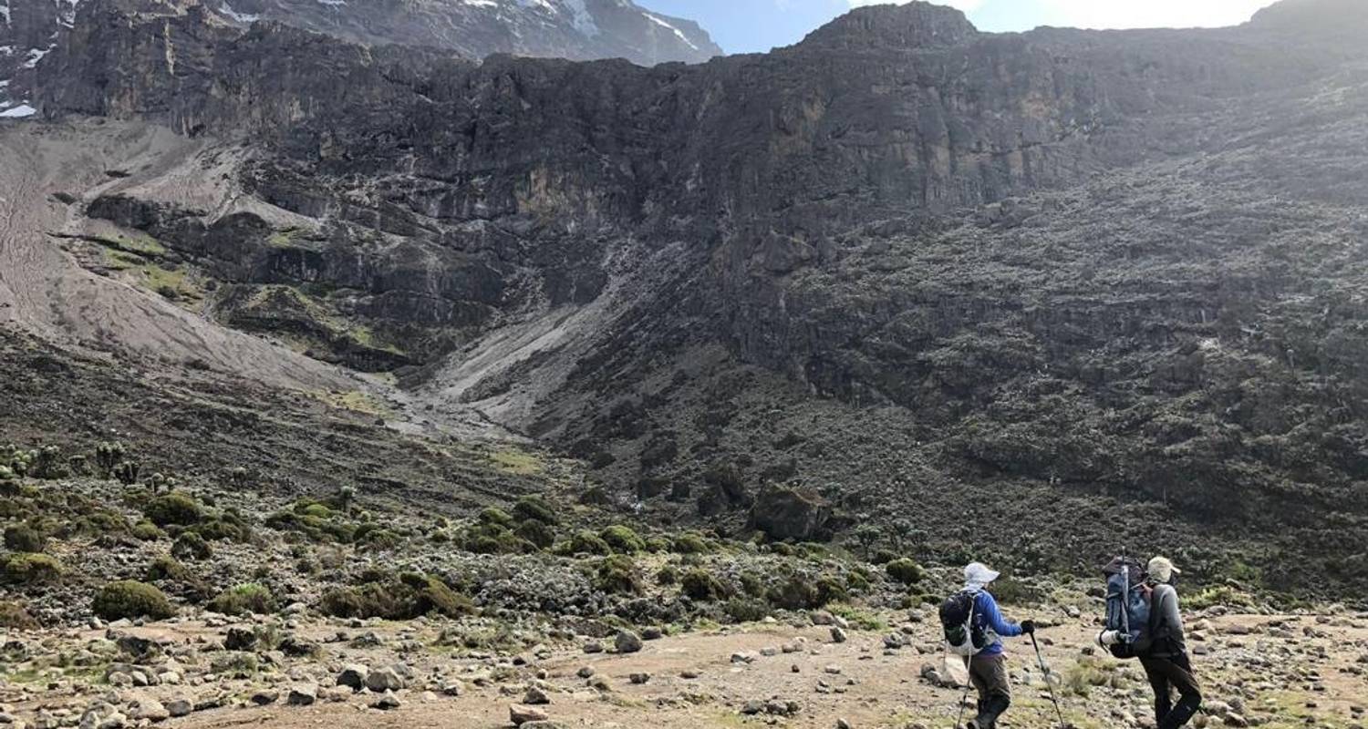 7 Days Lemosho Route Kilimanjaro Climb - Golden Summit Tour and Safari