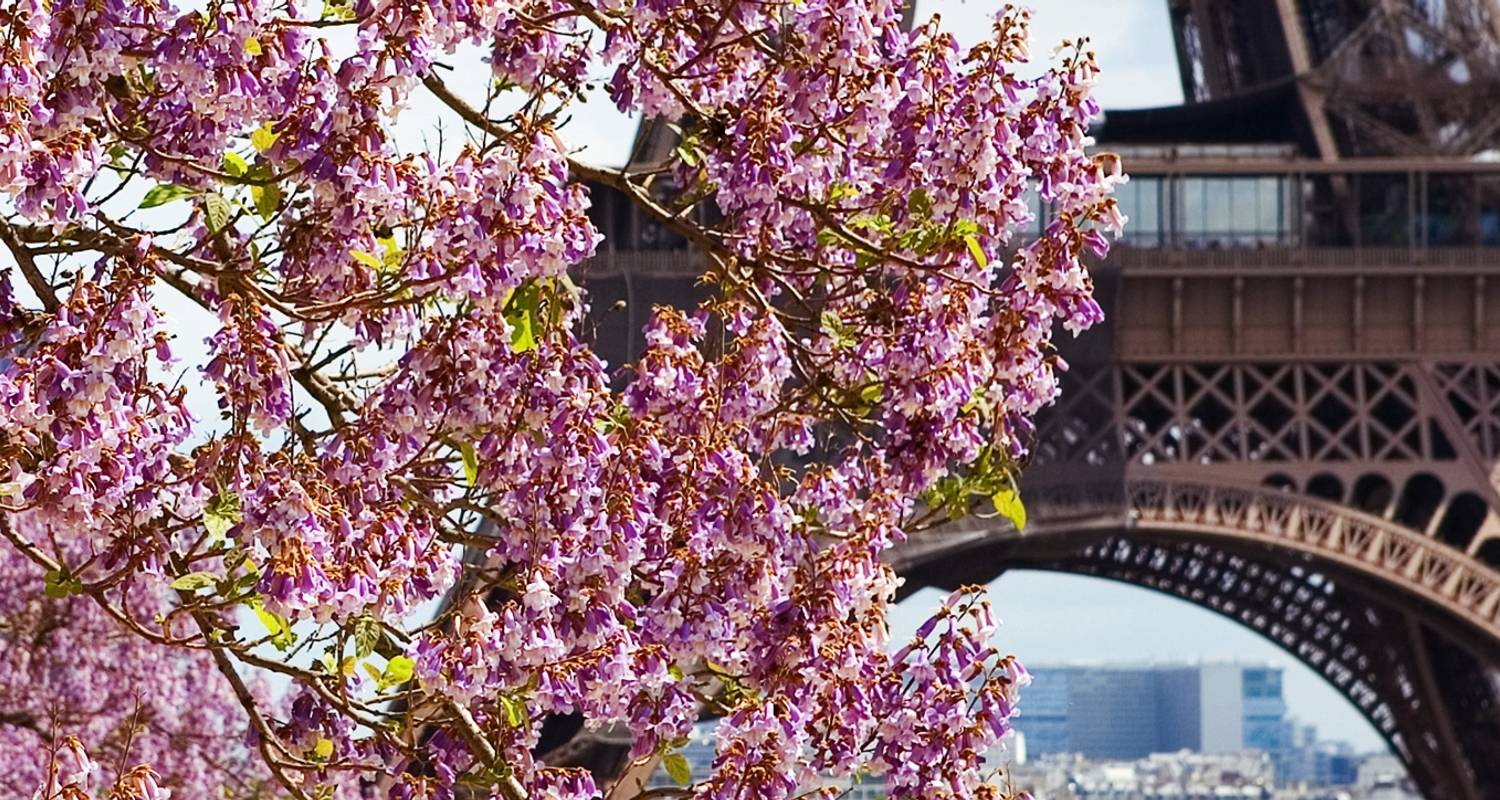Paris & Normandy (2021) (Paris to Paris, 2021) - Uniworld Boutique River Cruise Collection