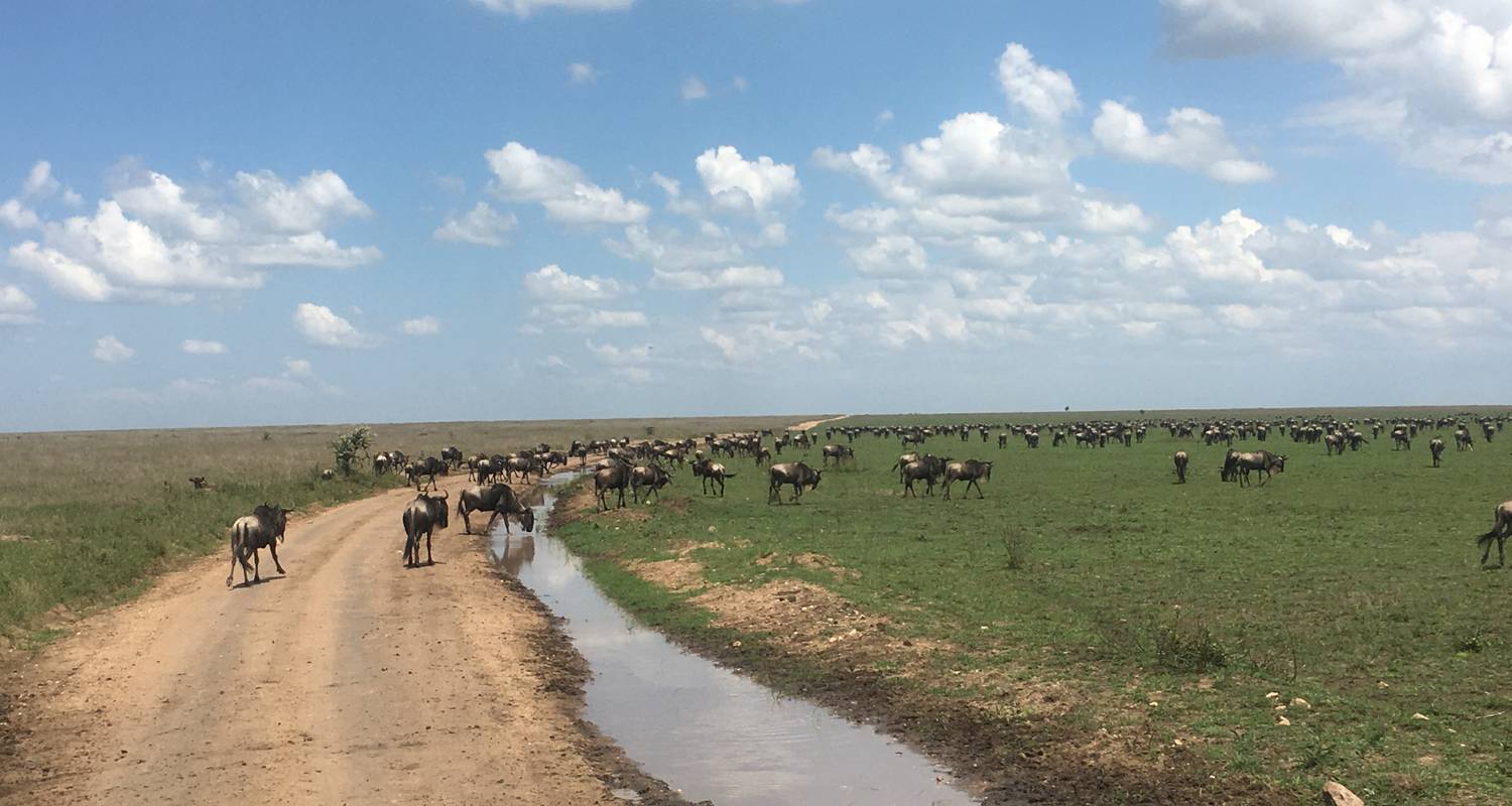 10-Day From Kenya to Tanzania Safari (Luxury ) - Tanzania Kenya Safari