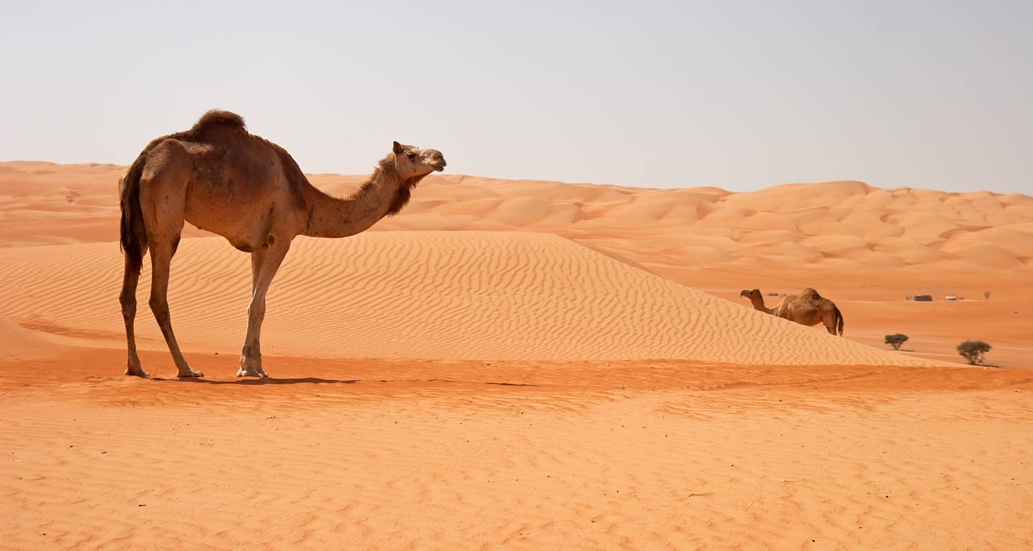 Oman Off-Road Adventure - Khimji's House of Travel