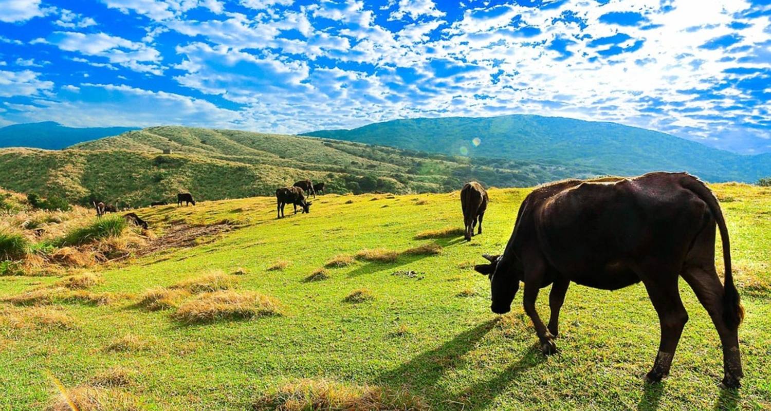 Taïwan : Taipei, lac Sun Moon, Tainan, Kaohsiung, Kenting, Taitung, Hualien, Yilan - 7 jours - Receptivo Aborigen Tours