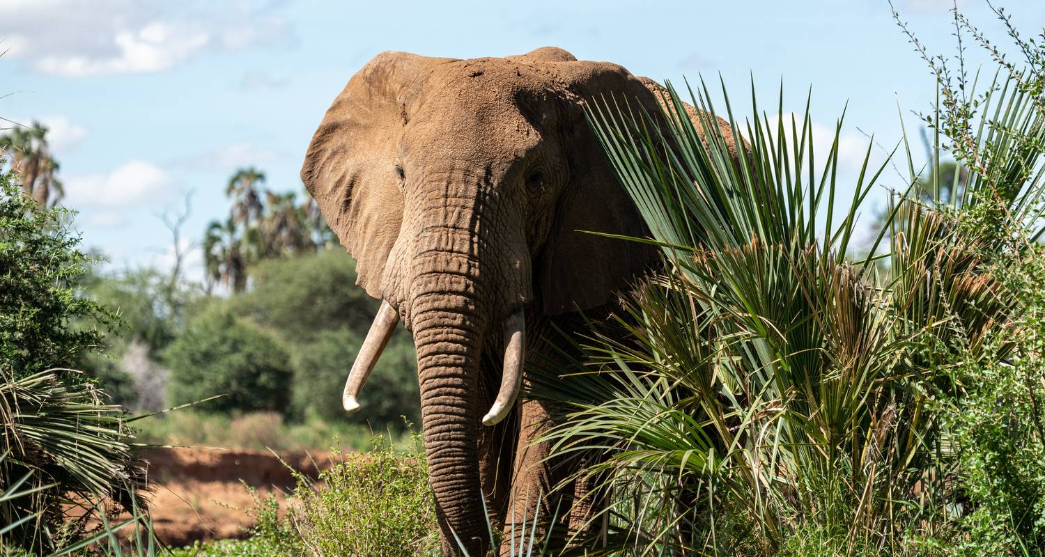 Kenya Exclusive Safari - 7 Days - Exciting Africa Holidays