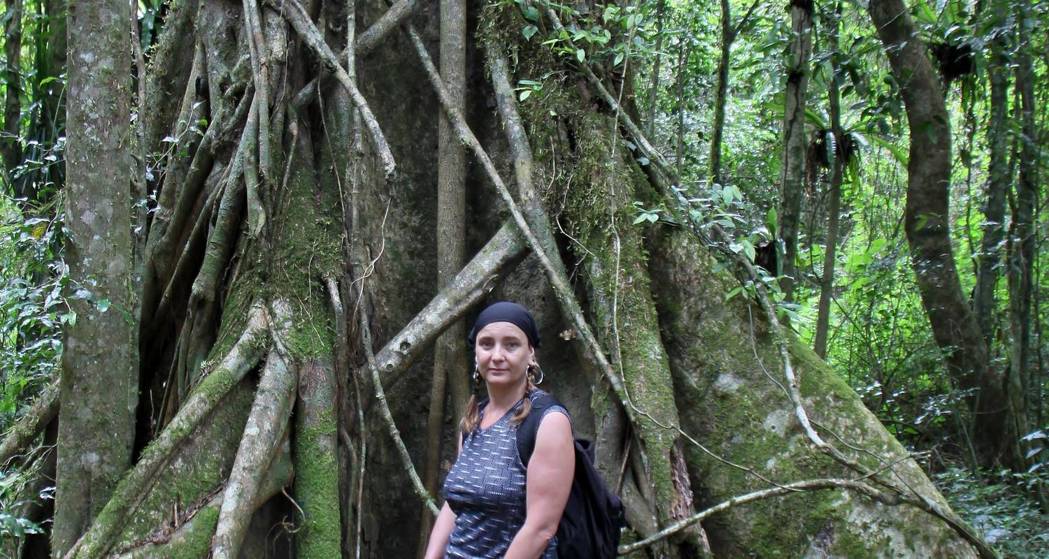Entdecke Madagaskars Baobab und Tsingy (von Bemaraha) - Zania Tours