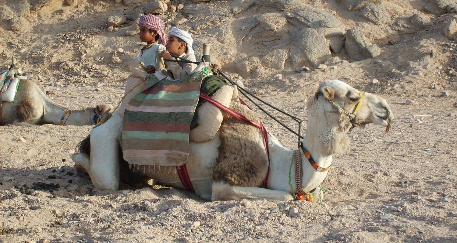 Accommodation in Mercure Hotel(Hurghada,Egypt) with Transfer from /to Airport - Remaz Tours GmbH