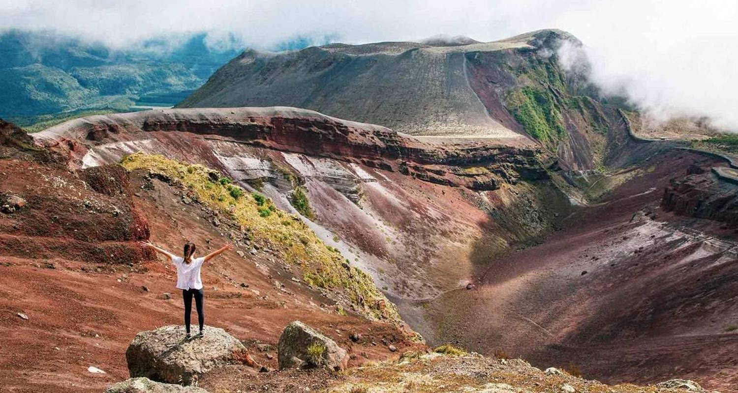 North Island Off- Grid - Contiki