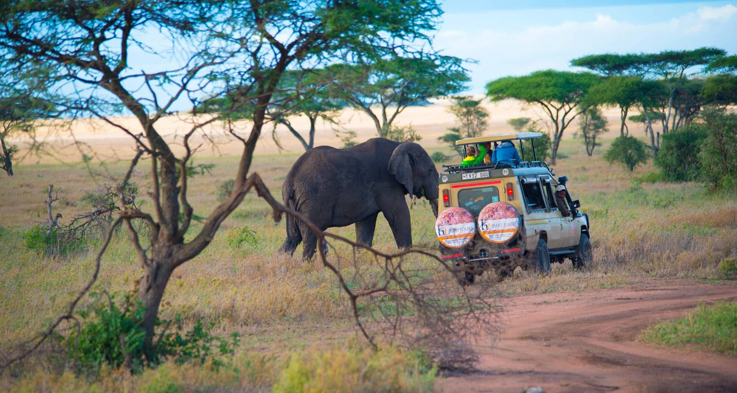 6 DAYS CAMPING SAFARI - Bujo Tours