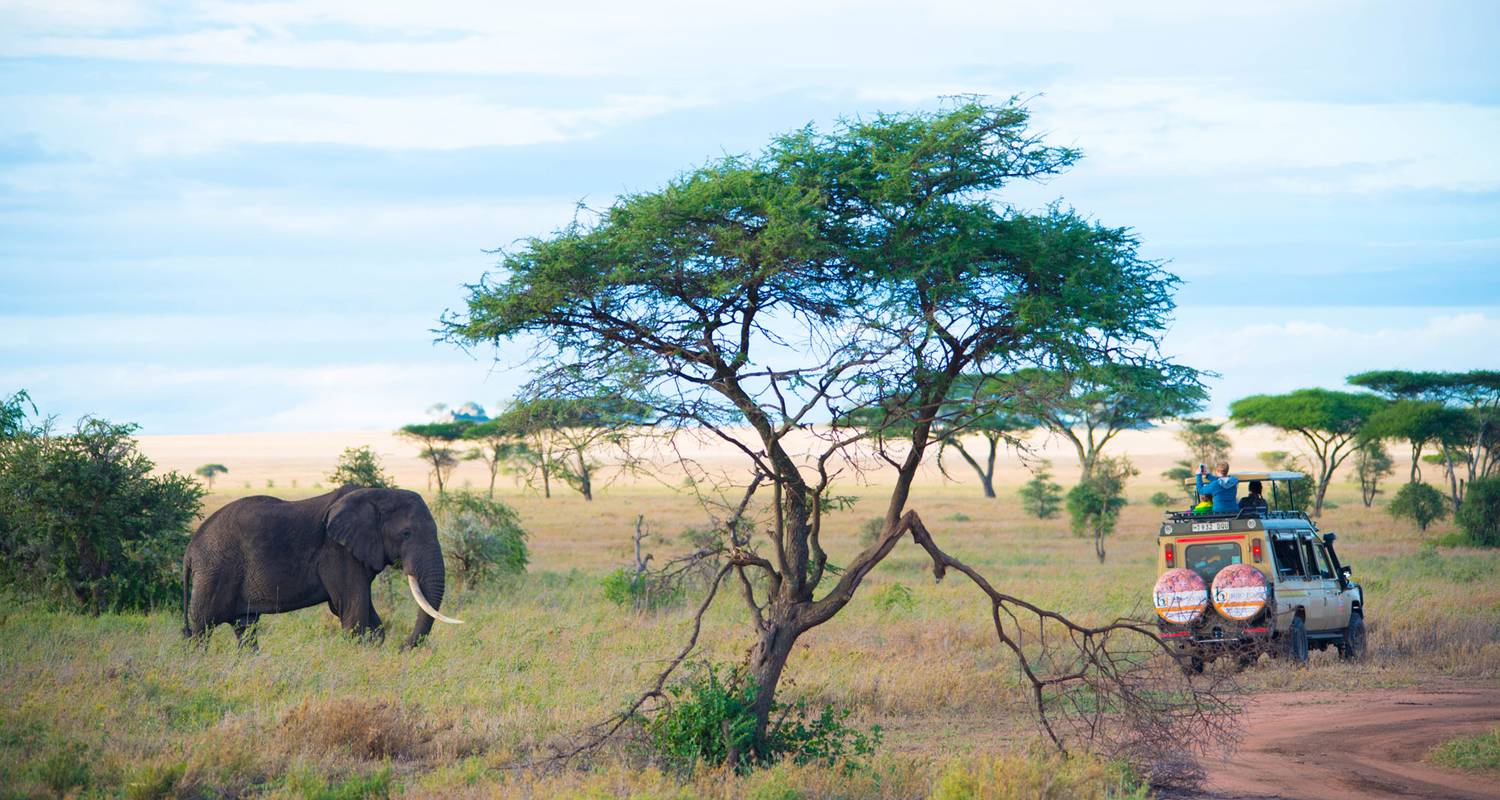 7 DAYS LODGE SAFARI - Bujo Tours