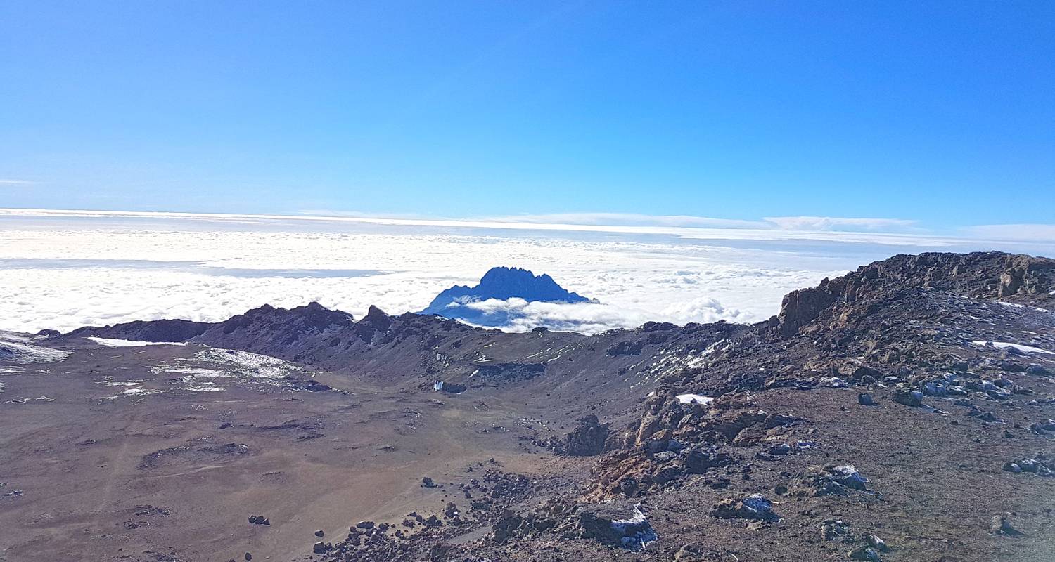 Kilimanjaro-Klettertouren über den Northern Circuit - Himalayan Glacier Trekking Pvt. Ltd.
