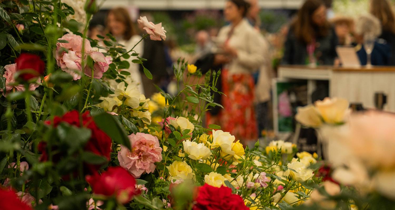 Chelsea Flower Show (vers l'ouest) 2027 - Blue-Roads Touring