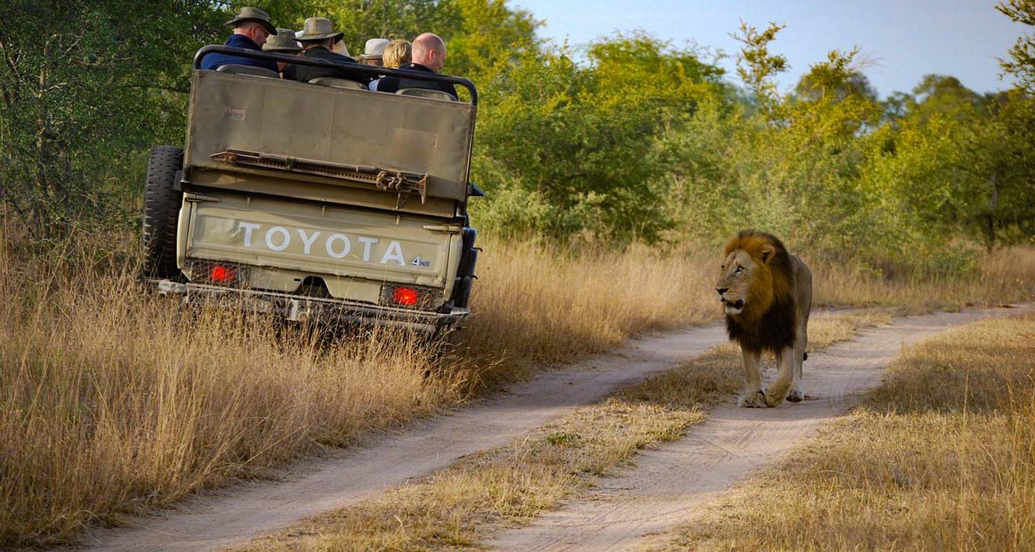 Südafrika Entdeckungsreise - 12 Tage (1. Klasse) - CharlieTheTraveler