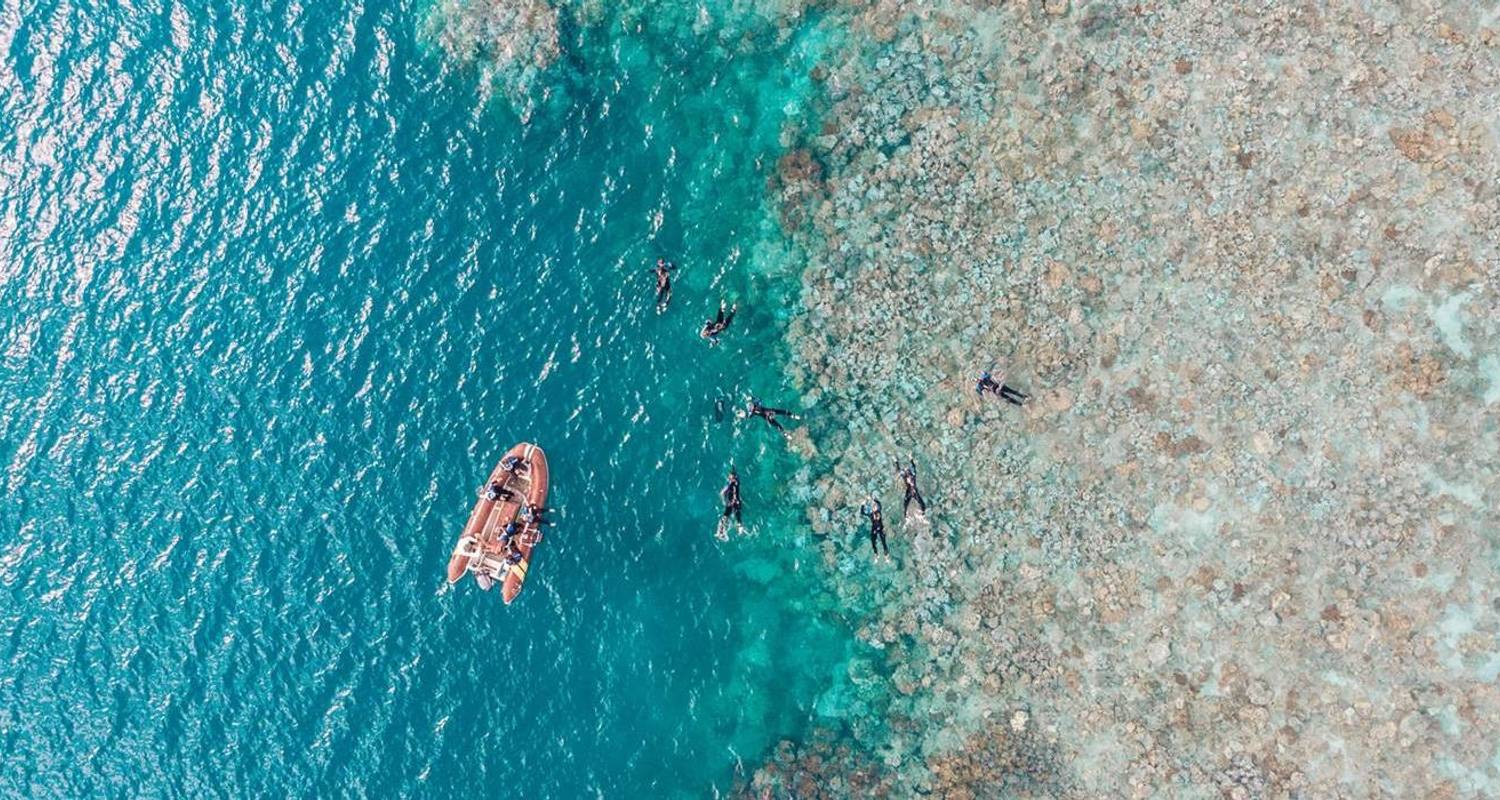Great Barrier Reef Highlights (6 Days) - Contiki