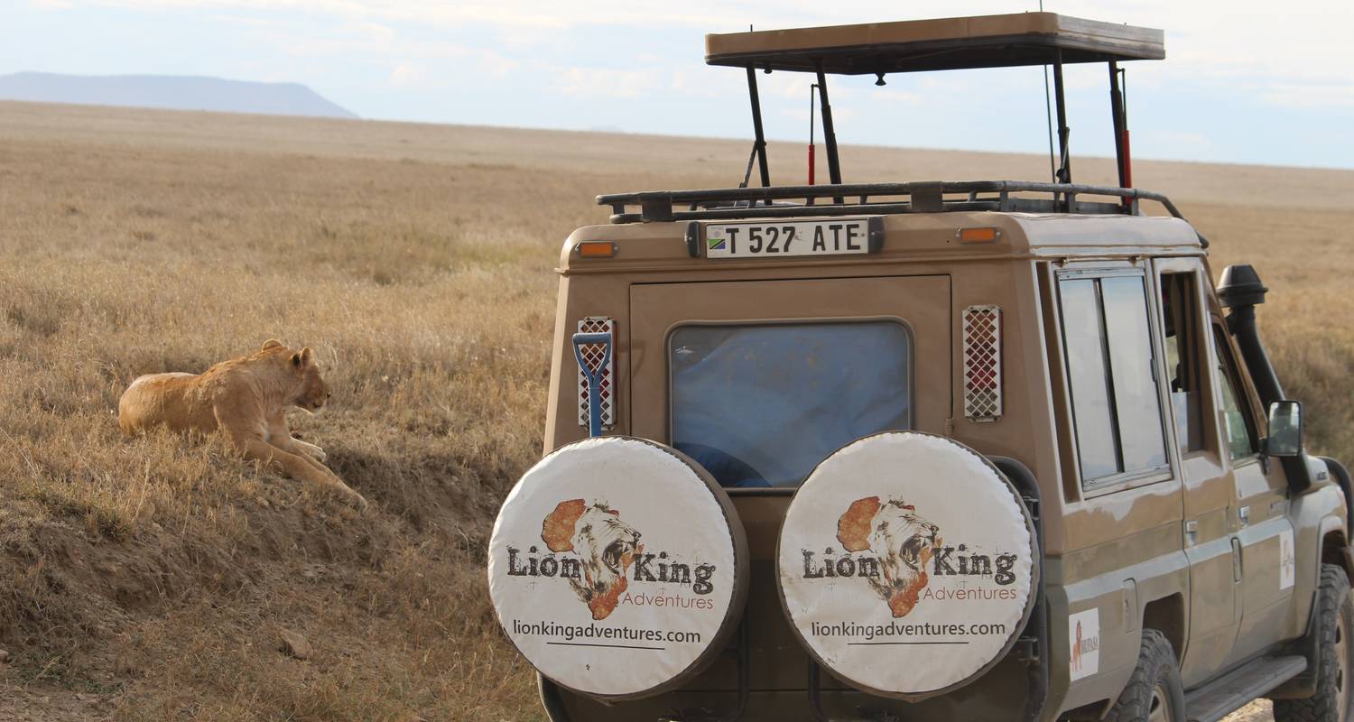 6-Day Highlights Mid-Range Crater, Serengeti, Tarangire - Lion King Adventures